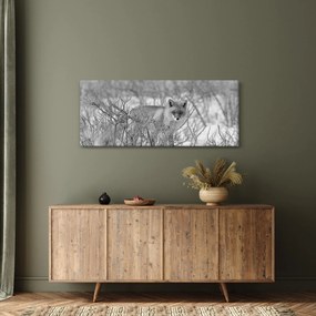 Obraz - Lišiak, čiernobiela (120x50 cm)