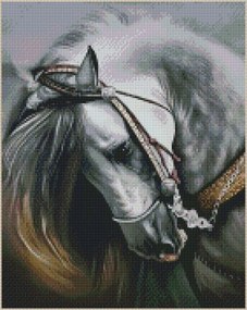 Weltbild Diamantový obraz Kôň