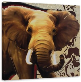 Obraz na plátně Slon Afrika Zvíře - 40x40 cm