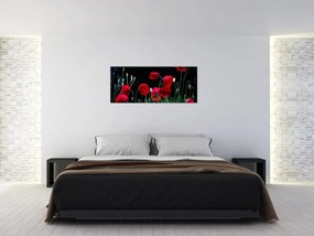 Obraz - Tanec vlčích makov (120x50 cm)