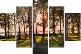 Obraz stromov pri jazere (150x105 cm)
