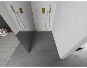Mexen Kioto, sprchová zástena Walk-In 100 x 200 cm, 8mm sklo vzor zrkadlo, zlatý matný profil, 800-100-101-55-50