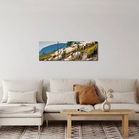Obraz - Stádo oviec (s hodinami) (90x30 cm)