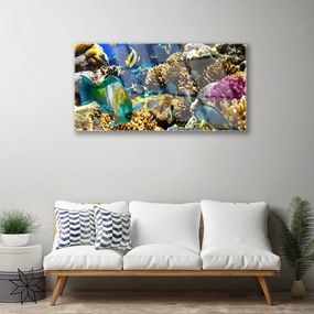 Obraz na akrylátovom skle Koralový útes príroda 100x50 cm