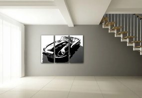 Ručne maľovaný POP Art obraz JAGUAR | rôzne rozmery