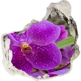 Samolepiaca nálepka Orchidea nd-p-64607986