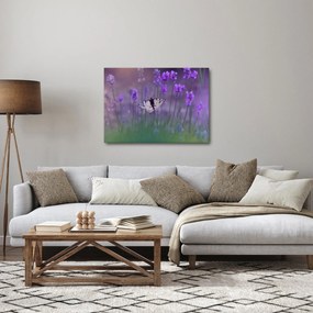 Obraz - Motýľ v levanduli (70x50 cm)
