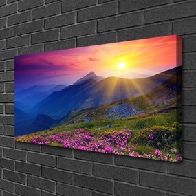 Obraz na plátne Hory kvet lúka krajina 125x50 cm