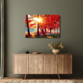 Obraz - Jesenná krajina (90x60 cm)