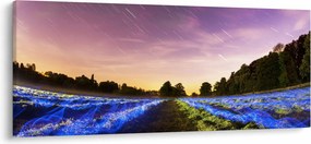 Obraz farebného poľa (120x50 cm)