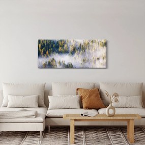 Obraz stromov v hmle (120x50 cm)