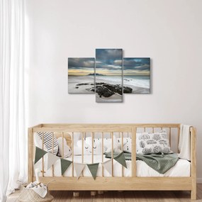 Obraz - Robben Island (90x60 cm)