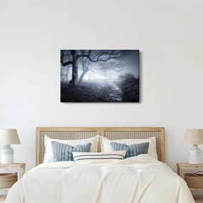 Obraz - Cesta v hmle (90x60 cm)