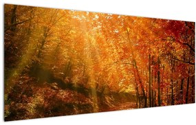 Obraz jesenného lesa (120x50 cm)