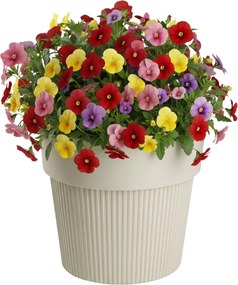 PLASTOVÝ KVETINÁČ SILVA LINE 20X17,5 CM BÉŽOVÁ