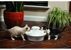 PetSafe® Avalon Keramická fontánka 2 l