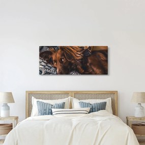 Obraz ležiacich psov (120x50 cm)