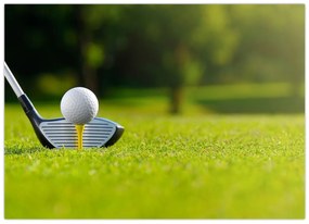 Sklenený obraz - Golf (70x50 cm)