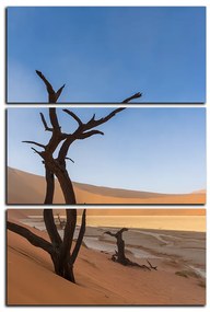 Obraz na plátne - Mŕtvy strom v dunach - obdĺžnik 7130B (105x70 cm)