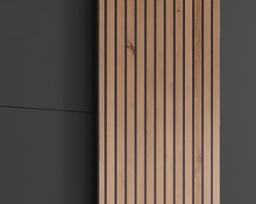 Šatníková skriňa Coburg, 180 cm, grafit/dub artisan