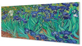 Obraz plexi Umenie kvety dúhovky 120x60 cm