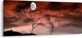 Obraz - Mesiac osvetľujúce noc (120x50 cm)