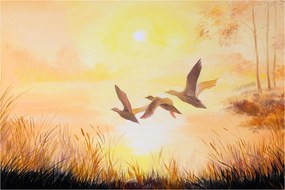 Obraz - Žeriavy pri západe slnka (90x60 cm)