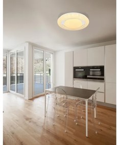 Globo 483111-28SH - LED Stmievateľné stropné svietidlo RADA LED/28W/230V + DO