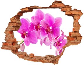 Samolepiaca diera nálepka betón Ružová orchidea nd-c-67673367