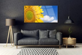Obraz na akrylátovom skle Slnečnica mraky 120x60 cm