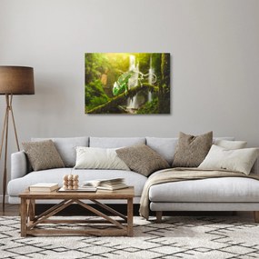 Sklenený obraz chameleóna (70x50 cm)