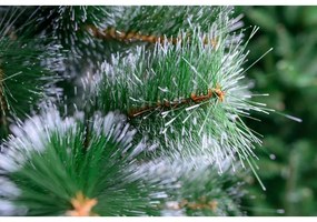 Limpol Vianočný stromček Borovica Natália – 150 cm