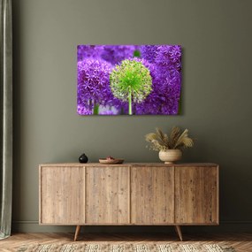 Obraz kvetu (90x60 cm)