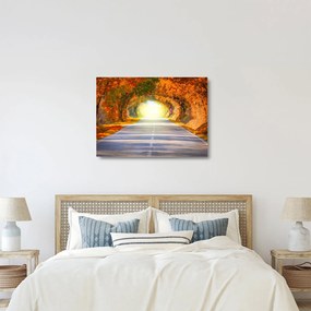 Sklenený obraz - Brána z korún stromov (70x50 cm)