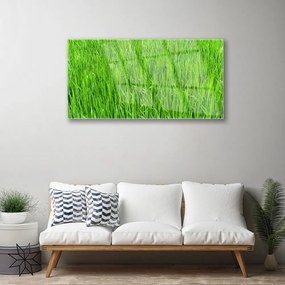 Skleneny obraz Zelená tráva príroda trávnik 140x70 cm