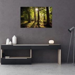 Obraz snového lesa (90x60 cm)