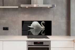 Nástenný panel  Swan v noci 120x60 cm