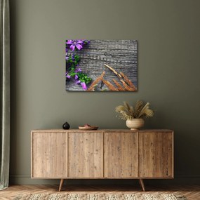 Obraz - lúčne kvety (70x50 cm)