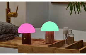 Biela/v tmavoprírodnej farbe LED stolná lampa (výška 12,5 cm) Alice Mushroom – Gingko