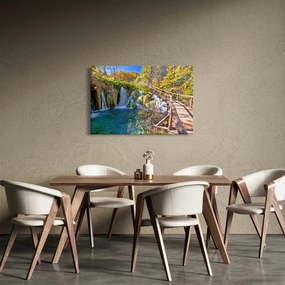 Obraz - Vstup na vodopády (90x60 cm)