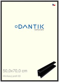DANTIK rám na obraz 50x70 | ALU Černá matná (Plexi Čiré)