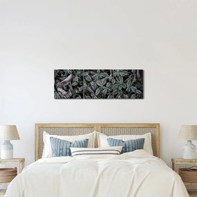 Obraz - Zamrznuté rastliny (s hodinami) (90x30 cm)