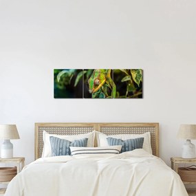 Obraz chameleóna (s hodinami) (90x30 cm)