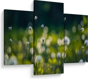 Obraz - Tráva (90x60 cm)