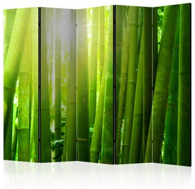 Artgeist Paraván - Sun and bamboo [Room Dividers]