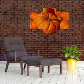 Obraz - Veľké tekvice (90x60 cm)
