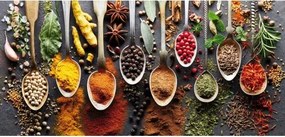 Obraz na plátne Farebné korenie, 70x33 cm%