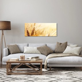 Obraz - detail obilia (120x50 cm)