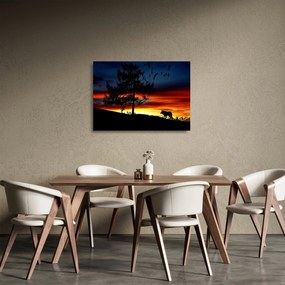 Sklenený obraz - Silueta vlka (70x50 cm)