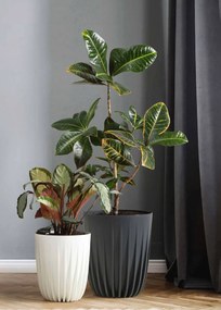 PLASTOVÝ KVETINÁČ STRIPPED ECO 30X25 CM ZELENÁ